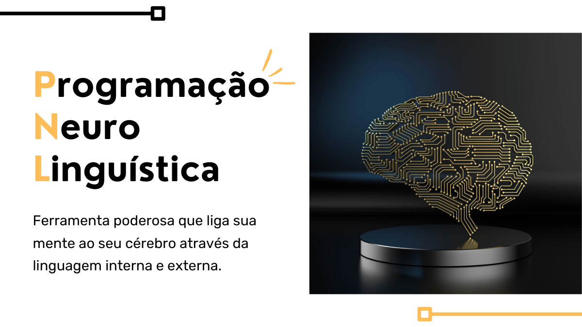 Apresentação de Negócios Plano de Projeto Riscos e Rabiscos Rosa Preto (1)