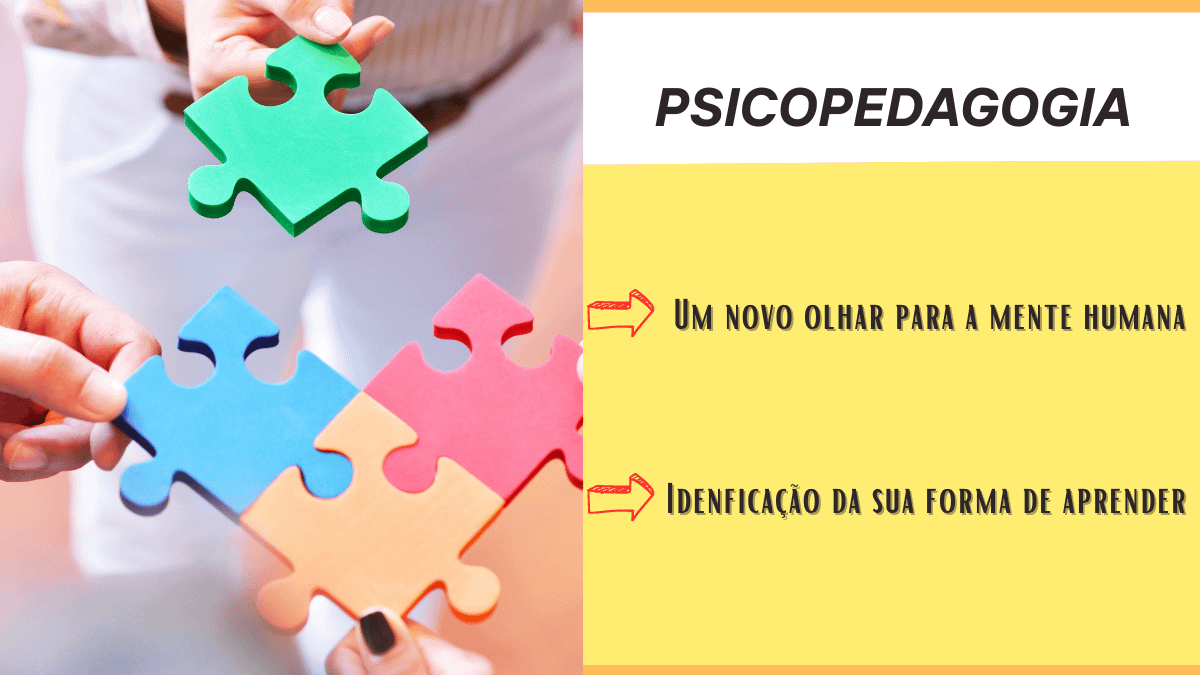 Apresentação de Negócios Plano de Projeto Riscos e Rabiscos Rosa Preto (2)