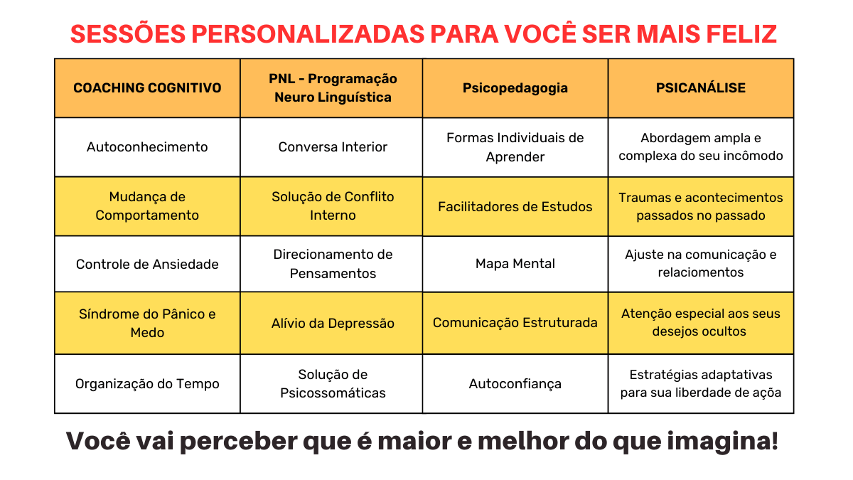 Apresentação de Negócios Plano de Projeto Riscos e Rabiscos Rosa Preto (4)